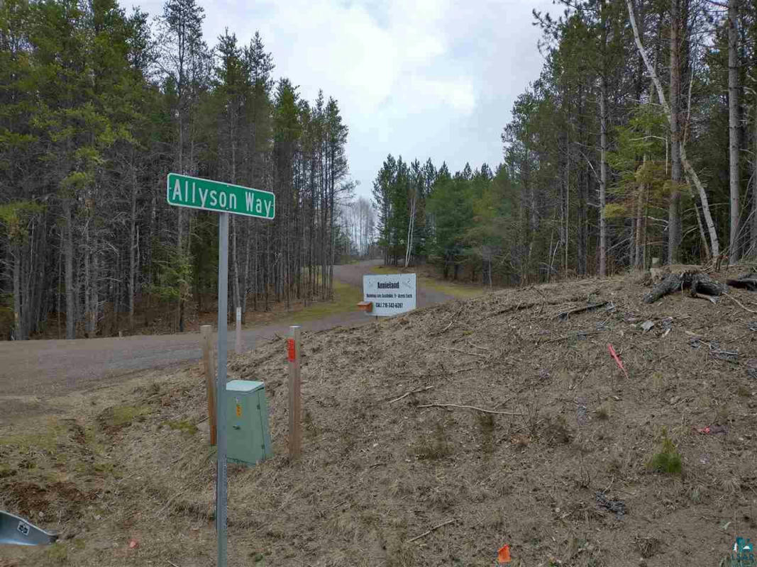 TBD HIGHWAY 21, BABBITT, MN 55706, photo 1 of 5