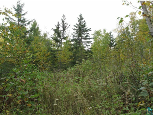 LOT 2 HIGHWAY 61, SCHROEDER, MN 55613, photo 2 of 5