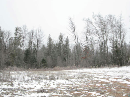40 ACRE LOT # 2 COUNTY RD L, HAWTHORNE, WI 54874, photo 3 of 13