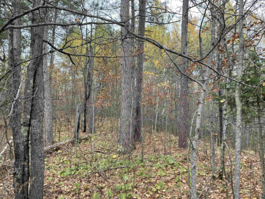 TBD MUCKWA LAKE RD, BABBITT, MN 55706, photo 2 of 14