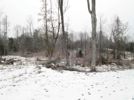 40 ACRE LOT #3 COUNTY RD L, HAWTHORNE, WI 54874, photo 3 of 11
