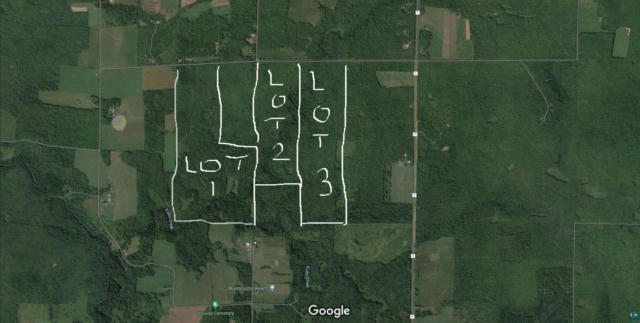 XX1X PORT WING TOWN LINE RD, ORIENTA, WI 54865 - Image 1