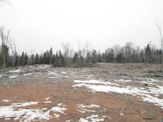 40 ACRE LOT #3 COUNTY RD L, HAWTHORNE, WI 54874, photo 4 of 11